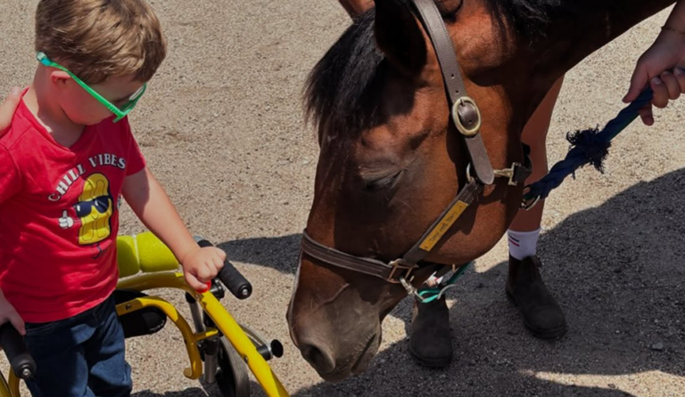 disable child with horse