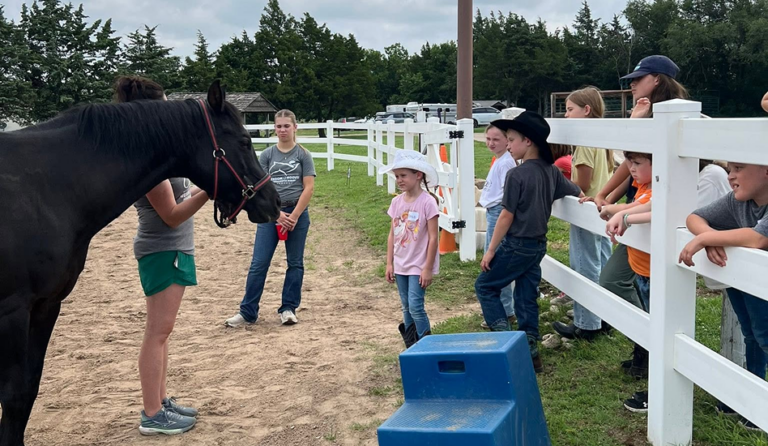 people staring at horse