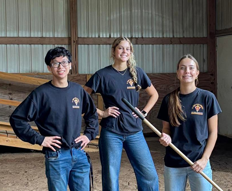 group of volunteer