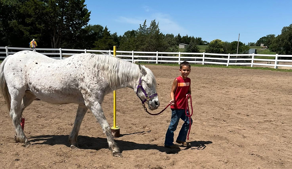 boy is leading a horse