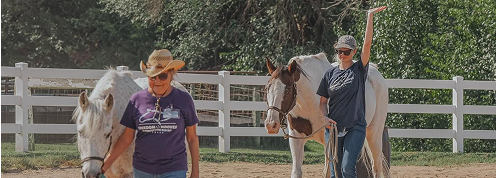 2 volunteers in blue shirt leading the horses